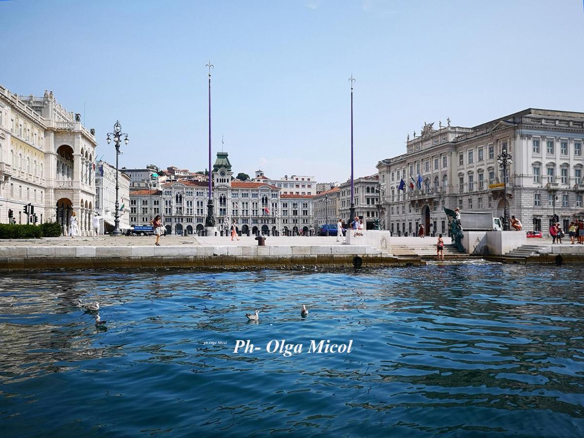 Comfortable And Friendly Apartment Trieste Bagian luar foto