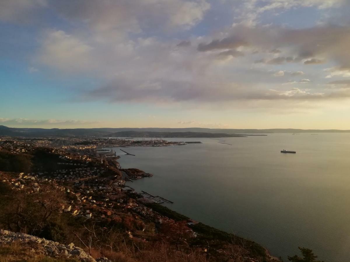 Comfortable And Friendly Apartment Trieste Bagian luar foto